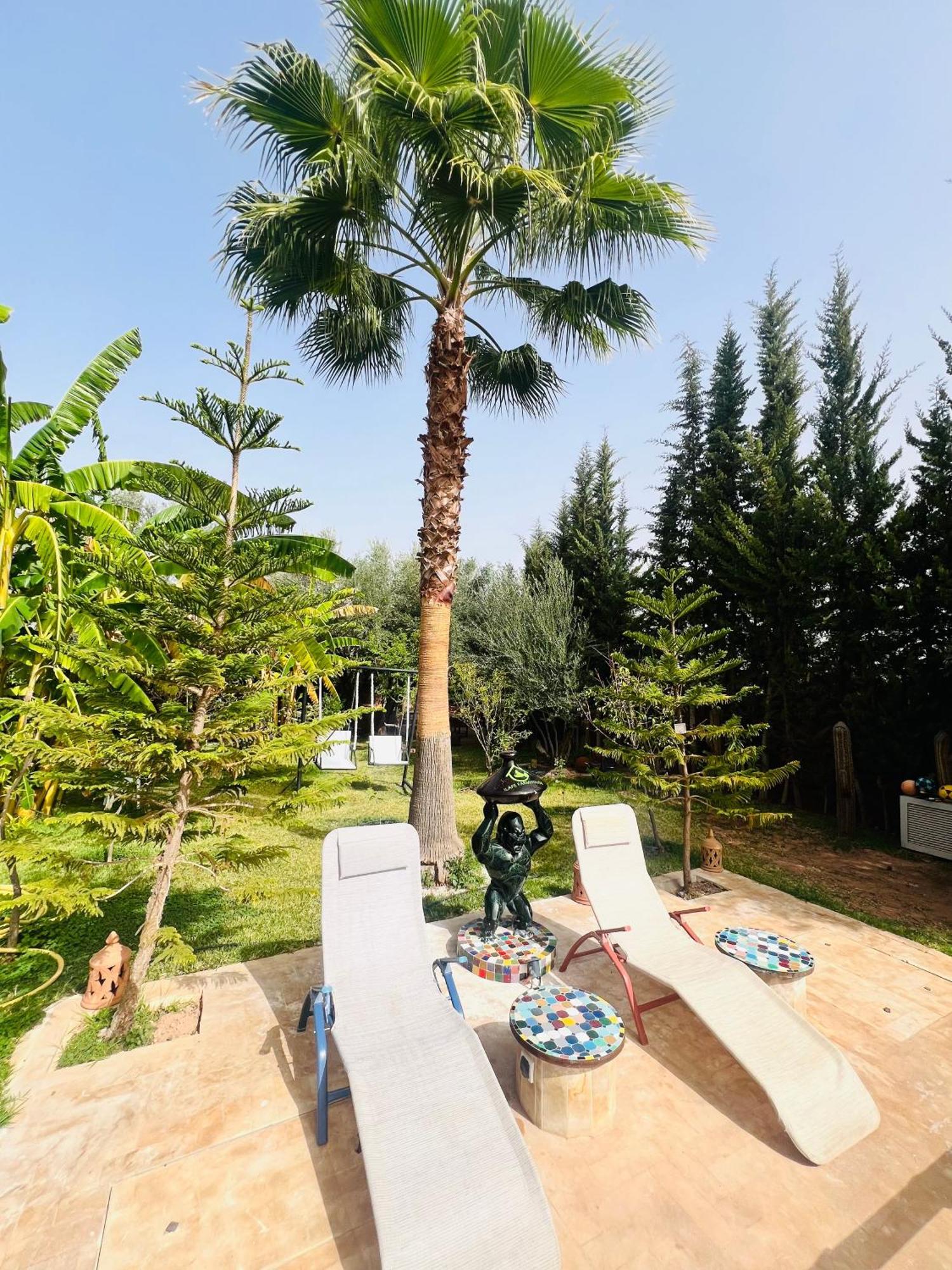 Ilafe Farmhouse, Villa Avec Piscine Chauffee Privee Et Jacuzzi Pour Familles マラケシュ エクステリア 写真