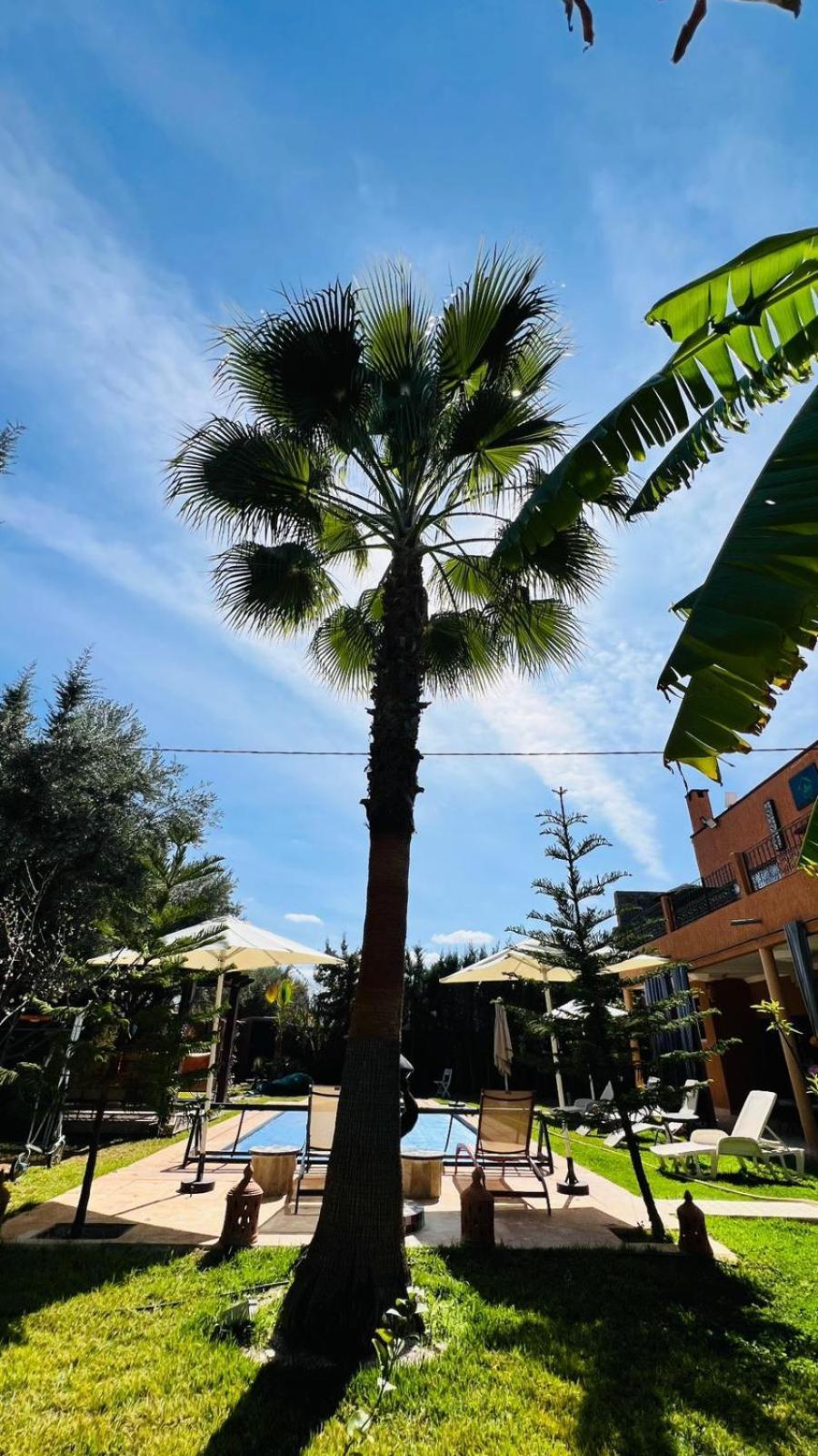 Ilafe Farmhouse, Villa Avec Piscine Chauffee Privee Et Jacuzzi Pour Familles マラケシュ エクステリア 写真